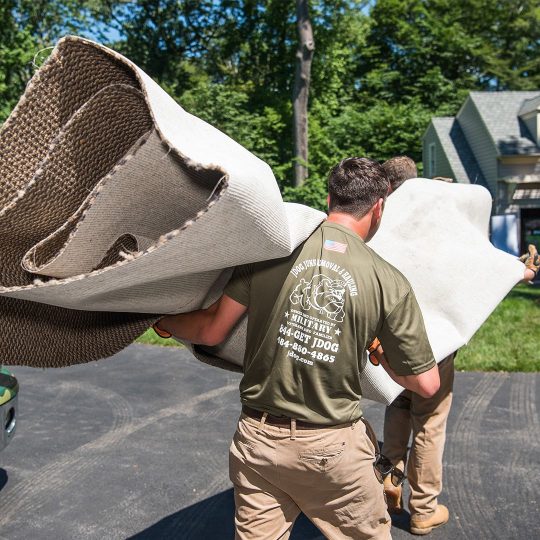 Carpet Removal