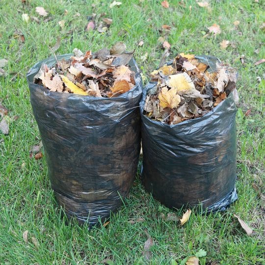 Yard Waste / Leaf Pickup