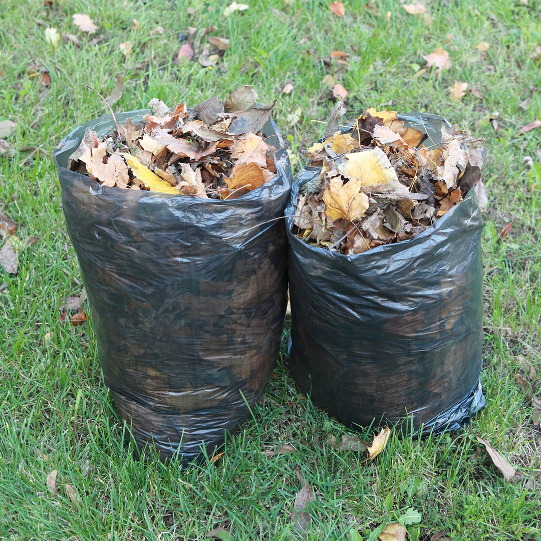 Removal of Yard Waste Bags