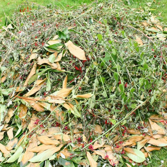 Yard Waste Removal Tips