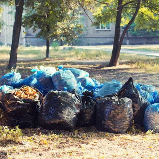 Removal of Yard Waste Bags