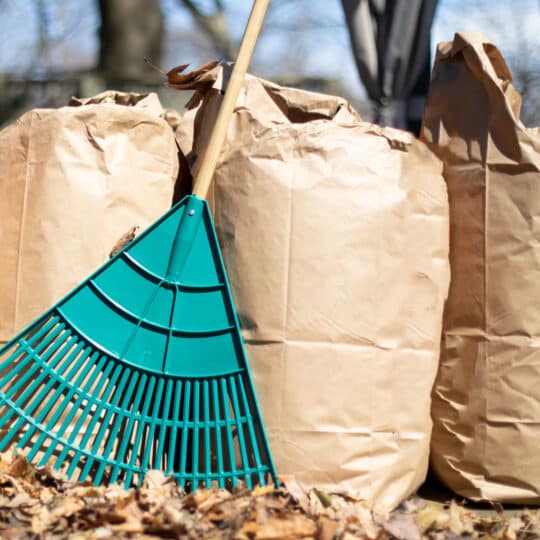 What Can You Do with Fall Lawn Waste?