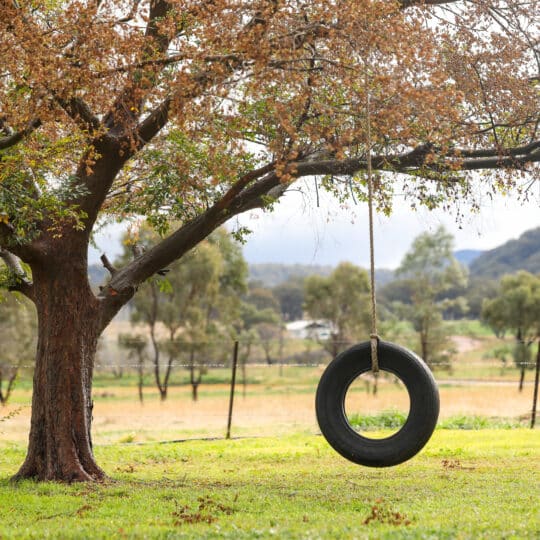 Repurposing Old Tires in Your Yard