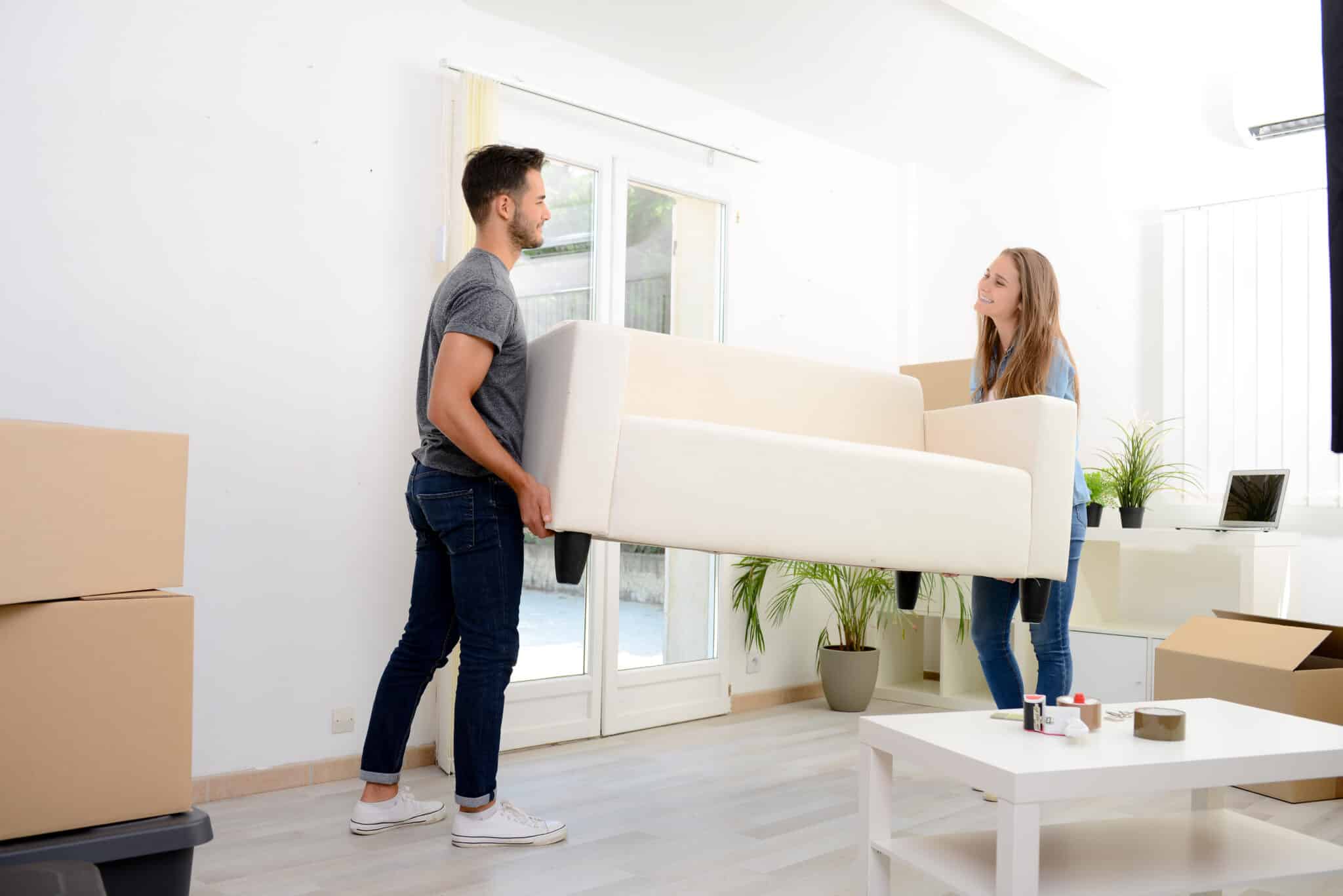 Don't Move Furniture Around Your Home Until You Read This! JDog Junk