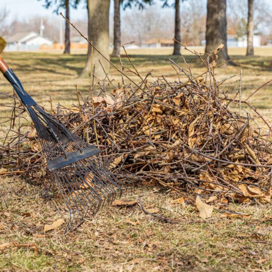 Spring Cleaning Outdoors