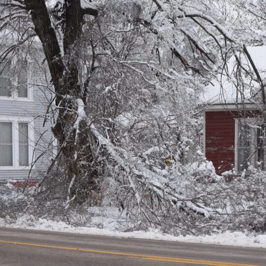 Winter Storm Damage